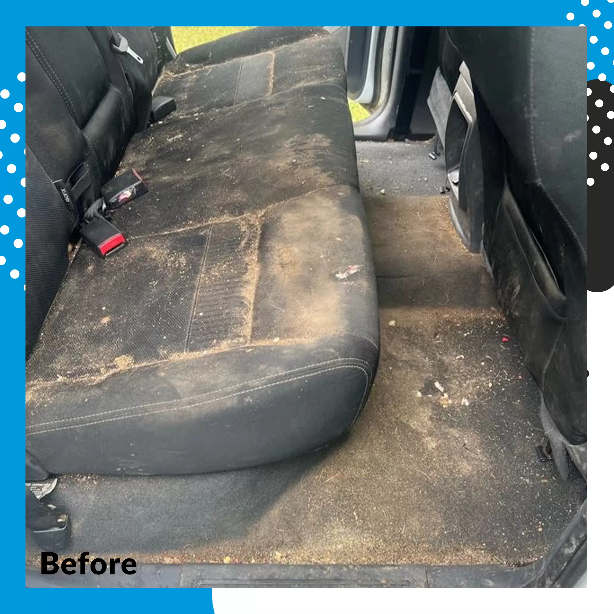 Mint Car Detailing