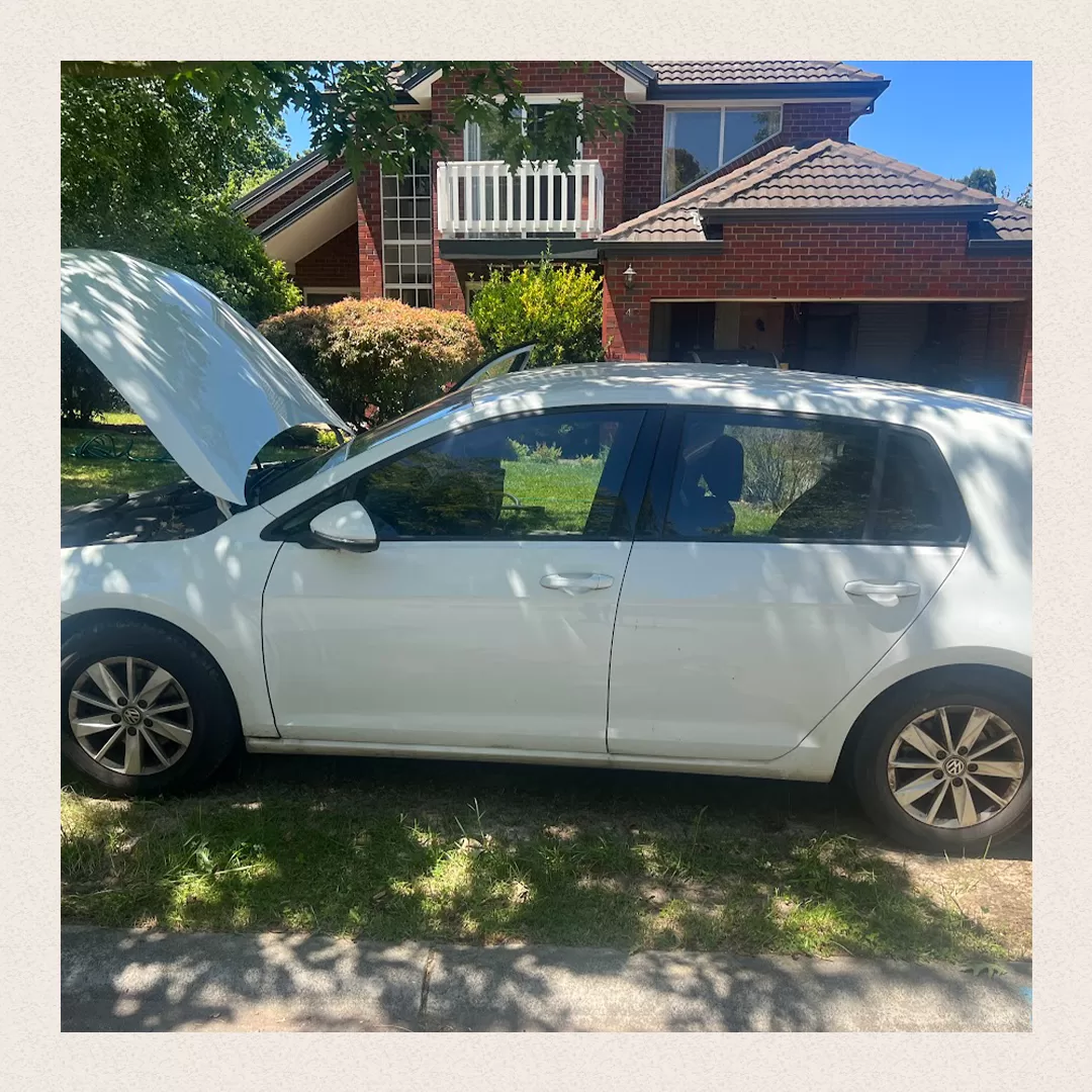 Mint Car Detailing