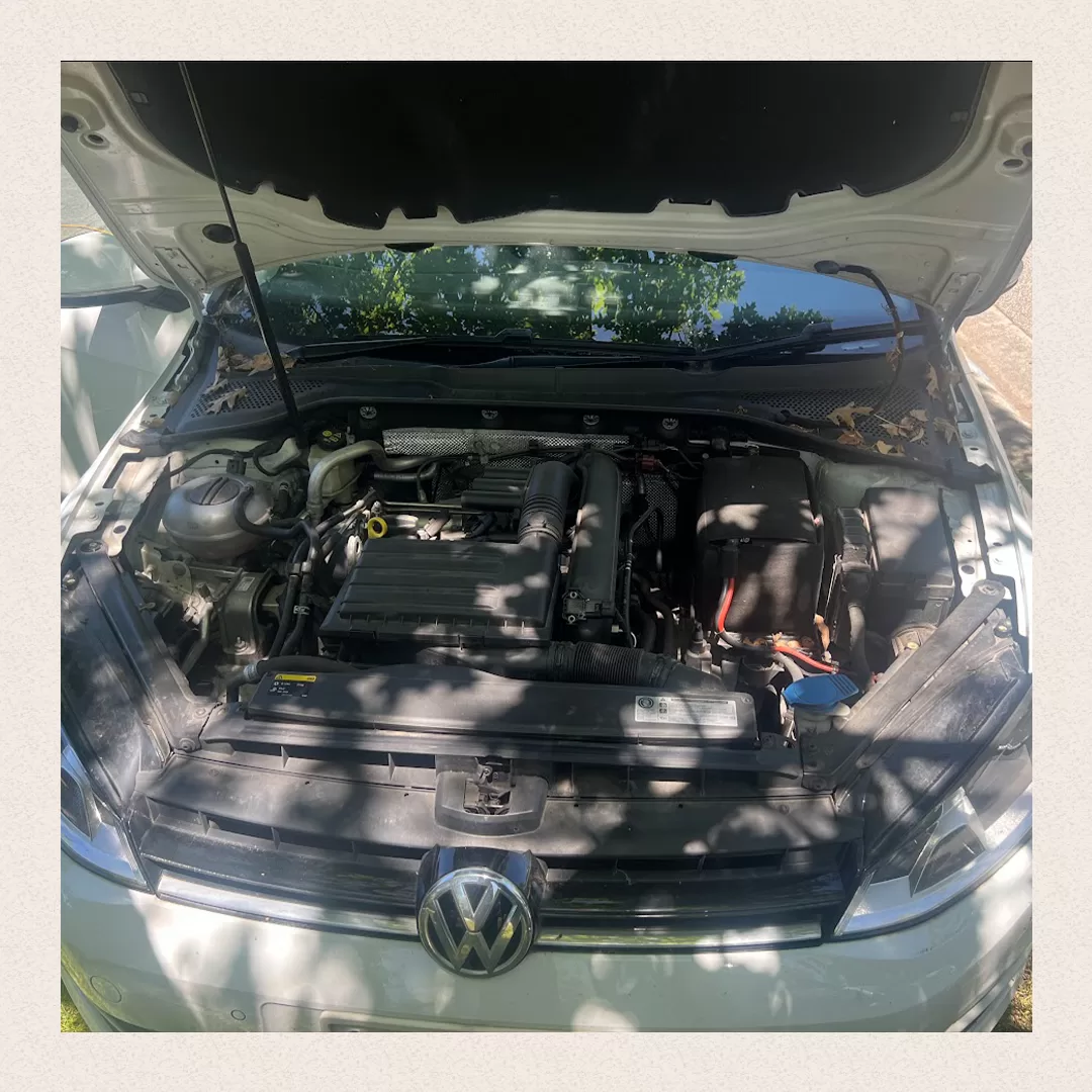 Mint Car Detailing