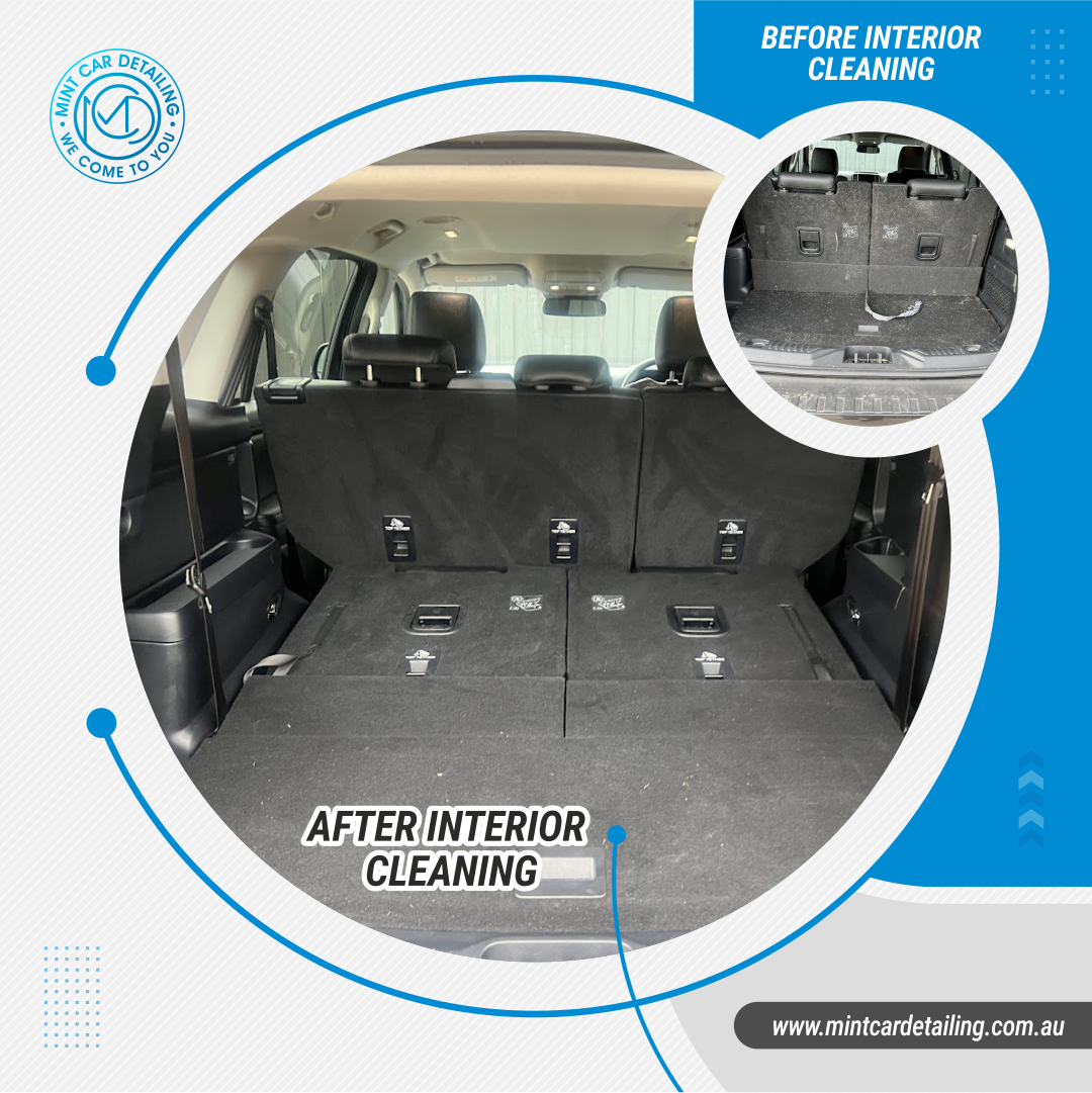 professional car detailing