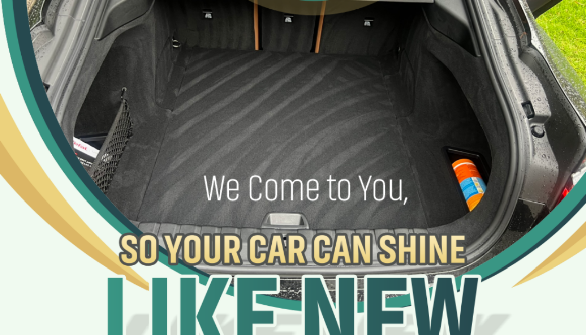 mint car detailing