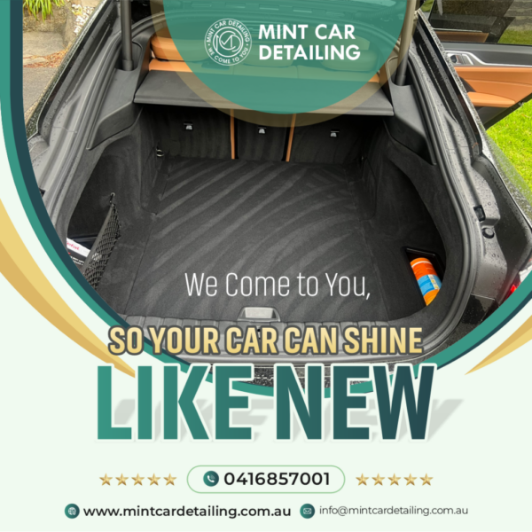 mint car detailing