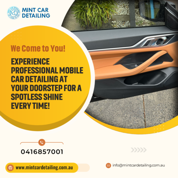 mobile car detailing